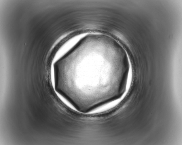 X0000085800925200704091446