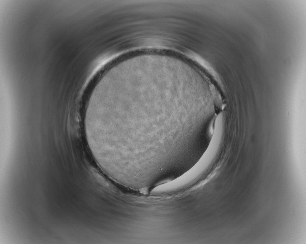 X0000085800926200704091446