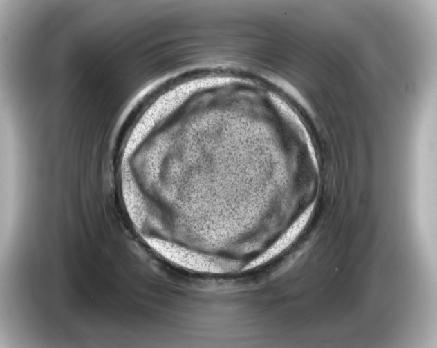 X0000085800927200704091446