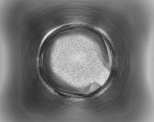 X0000085800928200704091446