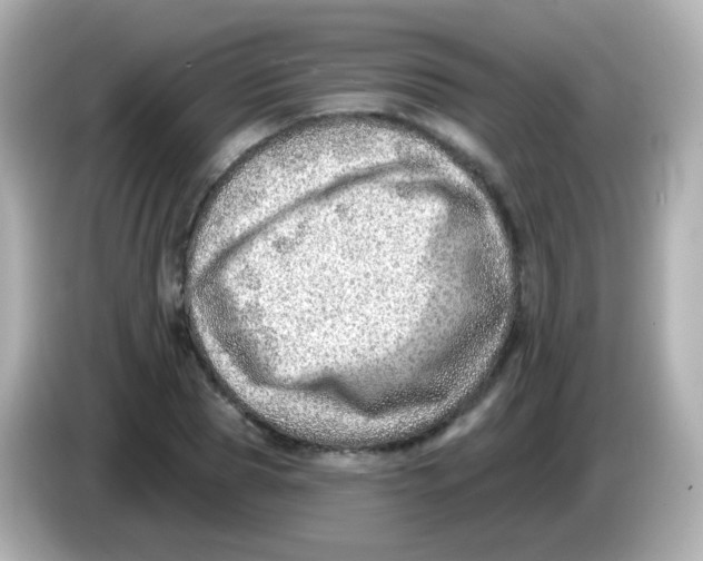 X0000085800929200704091446