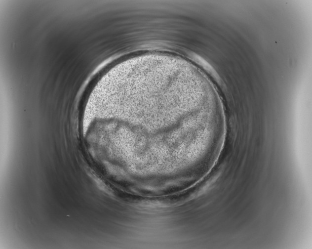 X0000085800931200704091446