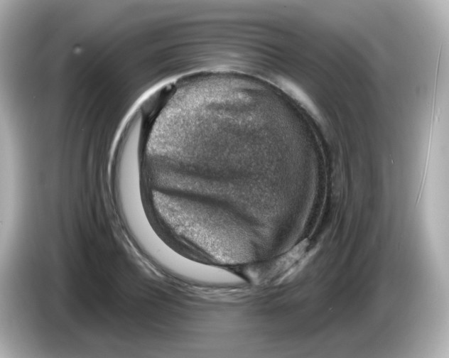 X0000085800932200704091446