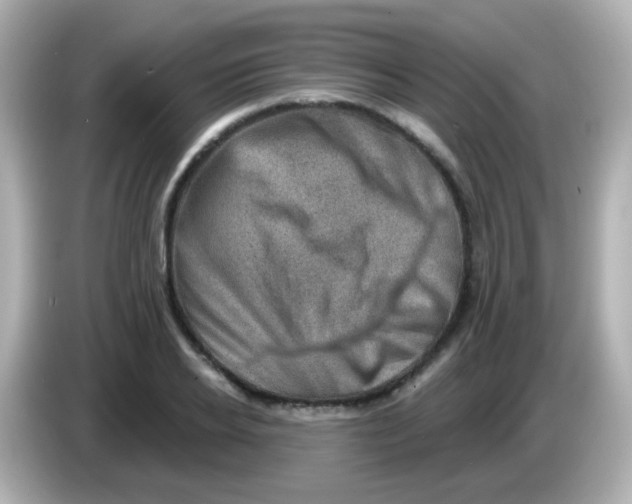 X0000085800934200704091446