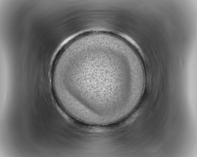 X0000085800935200704091446