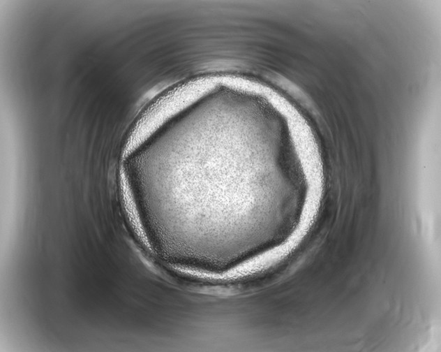 X0000085800937200704091446