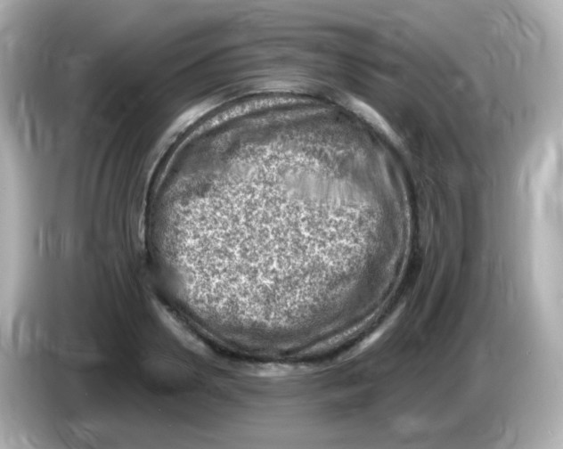 X0000085800938200704091446