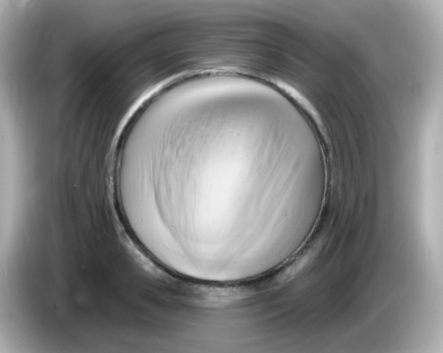 X0000085800941200704091446