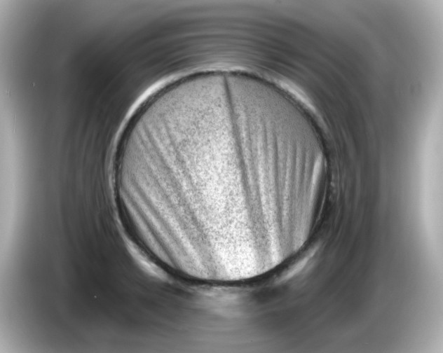 X0000085800942200704091446