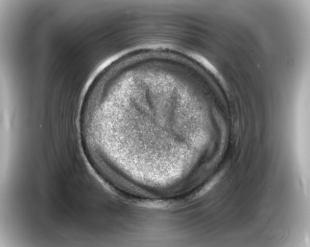 X0000085800943200704091446