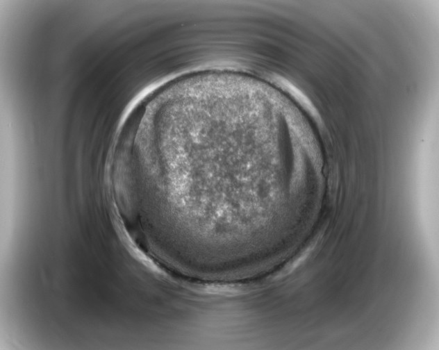 X0000085800944200704091446