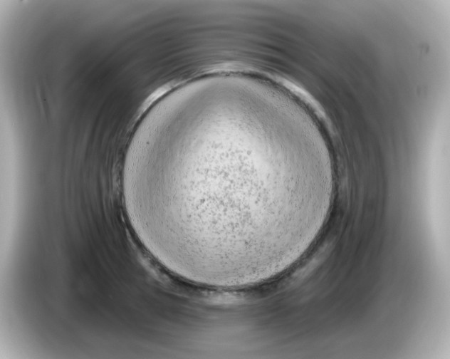 X0000085800945200704091446