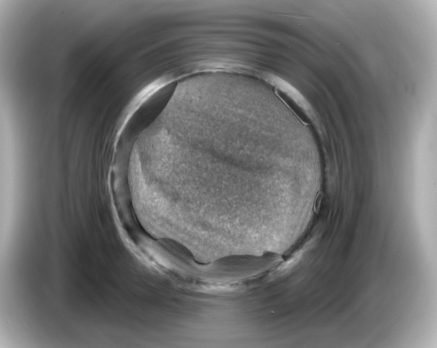 X0000085800946200704091446