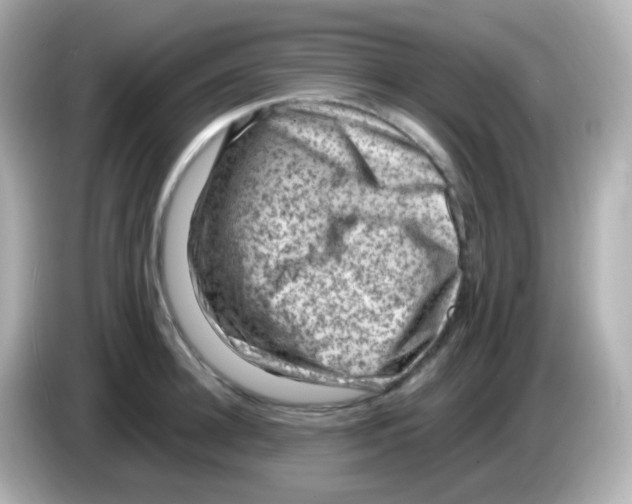 X0000085800948200704091446