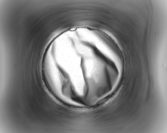 X0000085800949200704091446