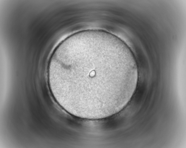 X0000085800950200704091446