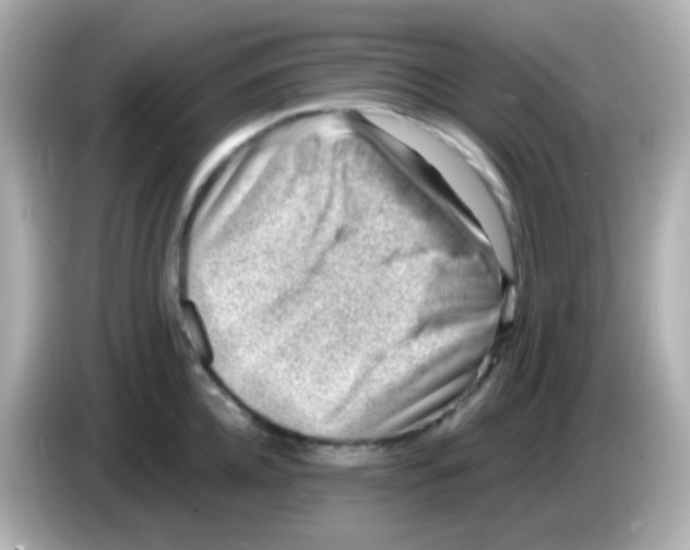 X0000085800952200704091446