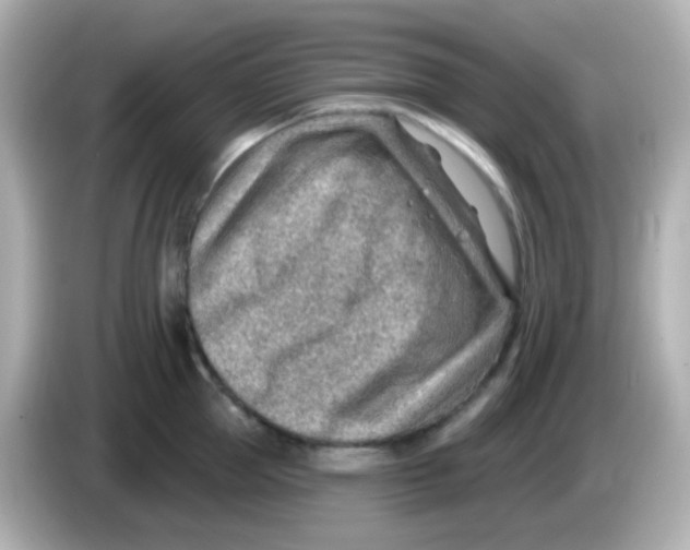 X0000085800953200704091446