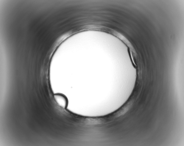 X0000085800954200704091446