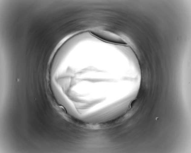 X0000085800956200704091446