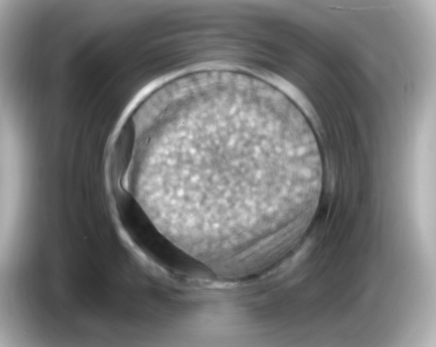 X0000085800958200704091446