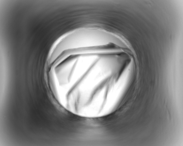 X0000085800960200704091446