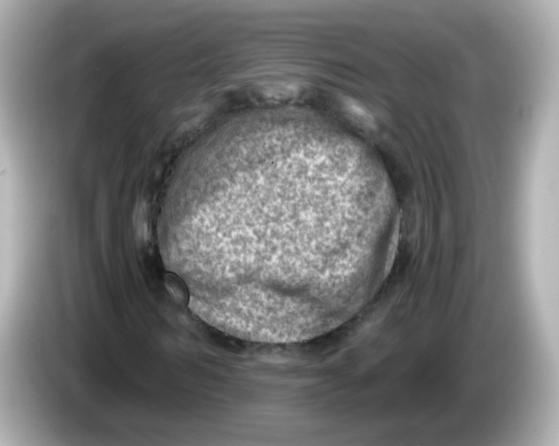 X0000085800962200704091446