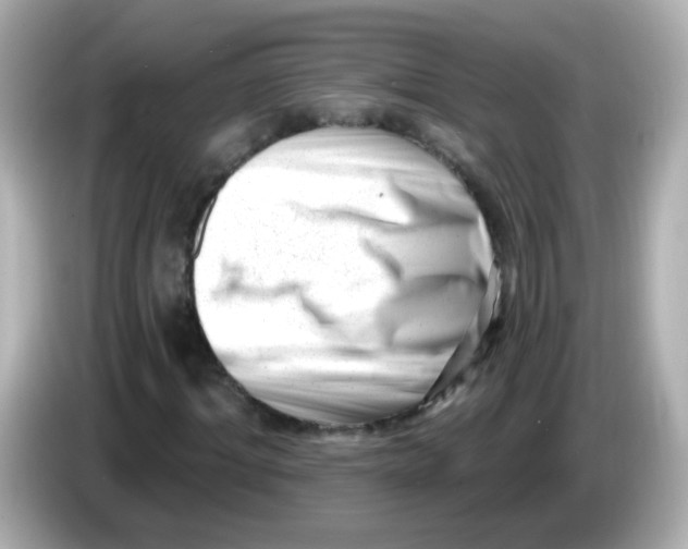 X0000085800964200704091446