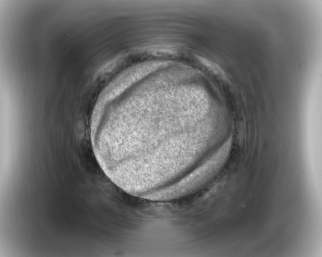 X0000085800966200704091446