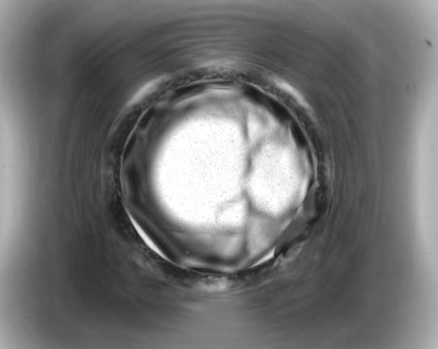 X0000085800968200704091446