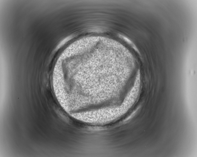 X0000085800970200704091446