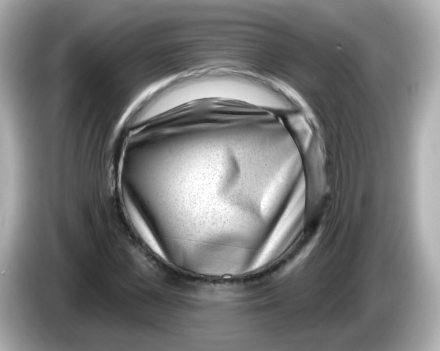 X0000085800973200704091446