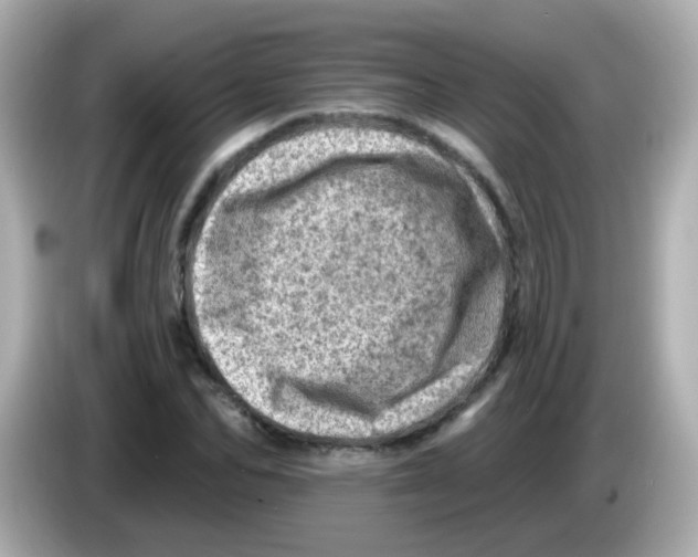 X0000085800974200704091446