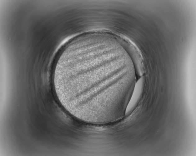 X0000085800975200704091446