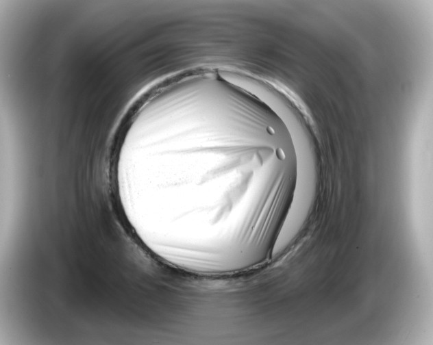 X0000085800976200704091446