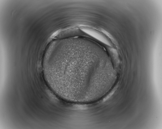 X0000085800977200704091445