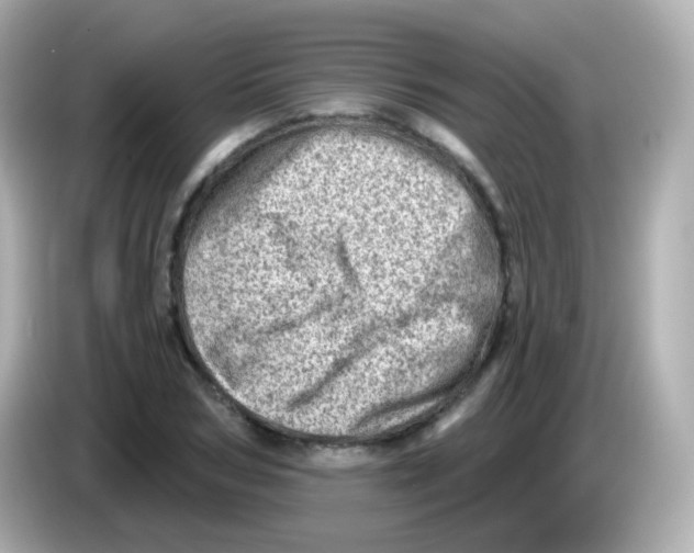 X0000085800978200704091445