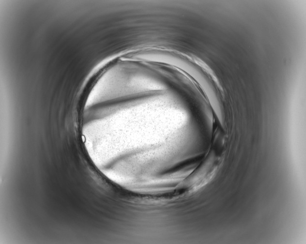 X0000085800981200704091445