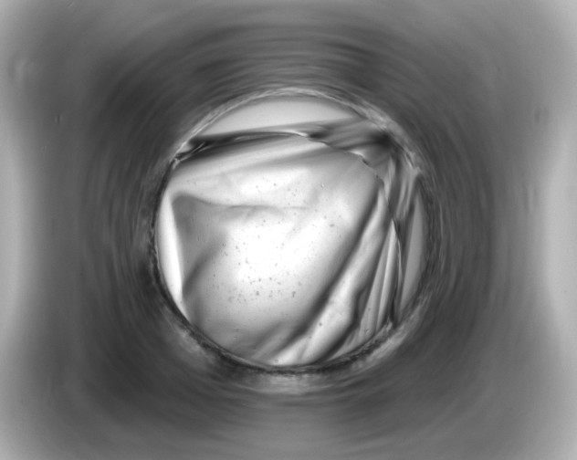 X0000085800985200704091445