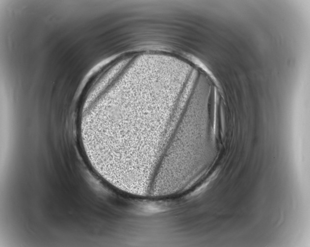 X0000085800987200704091445