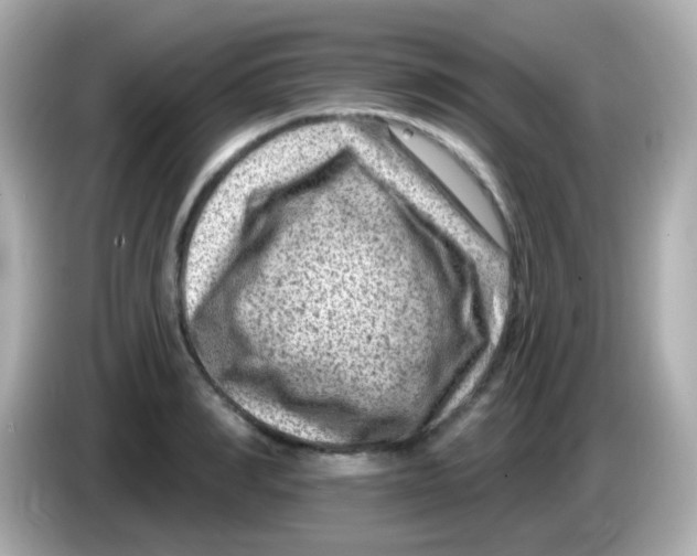 X0000085800990200704091445