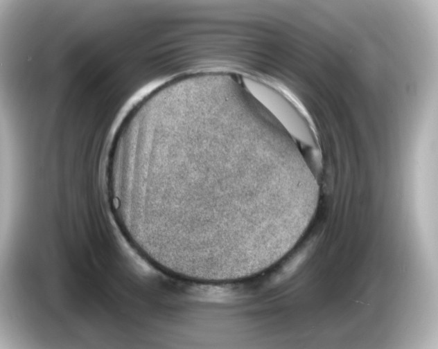 X0000085800995200704091445