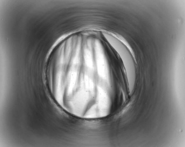 X0000085800997200704091445