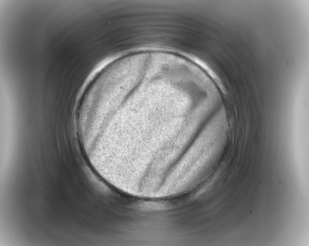 X0000085800998200704091445