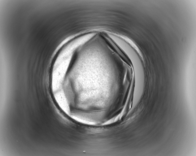 X0000085800999200704091445