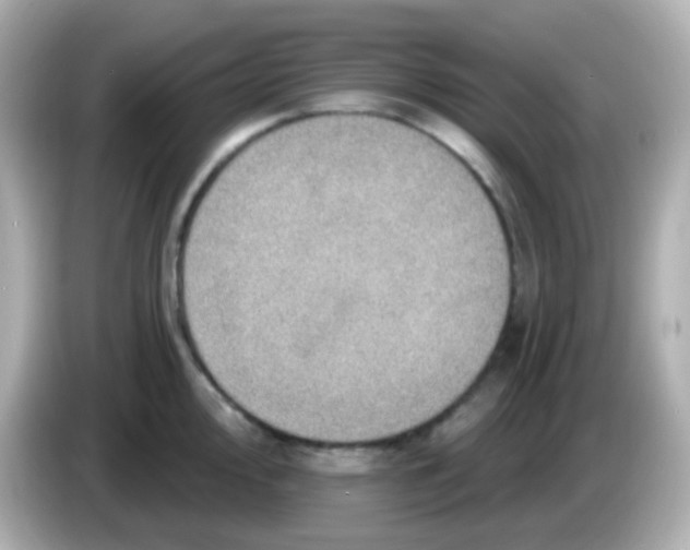 X0000085801000200704091445