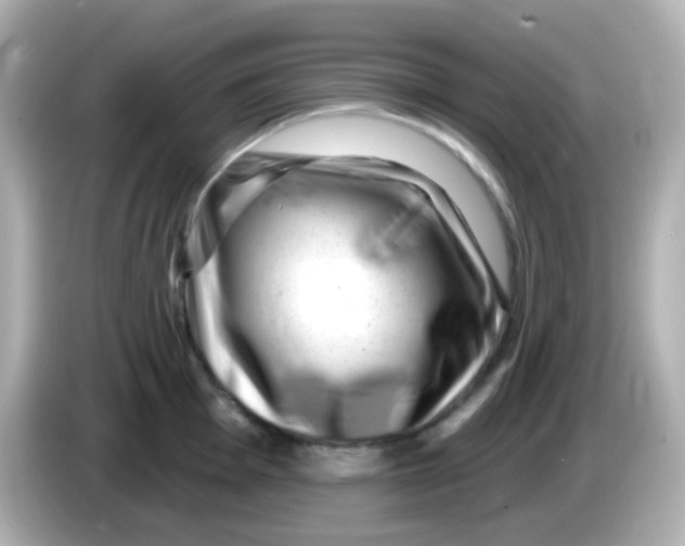 X0000085801001200704091445