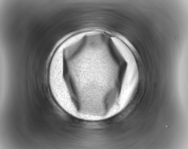 X0000085801004200704091445