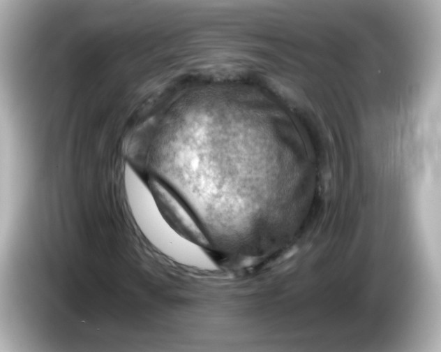 X0000085801010200704091445