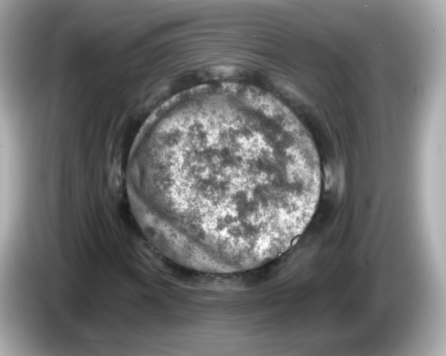 X0000085801011200704091445